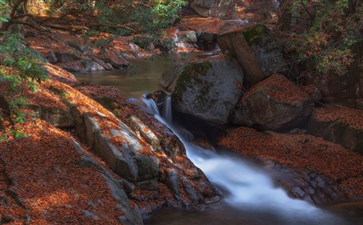 四川黎坪光雾山自驾旅游-重庆自驾游赏红叶