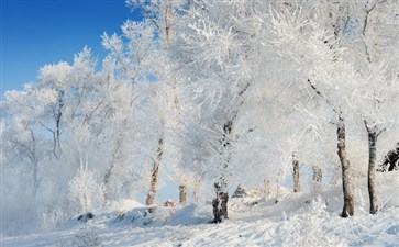 吉林雾凇_冬季东北冰雪旅游