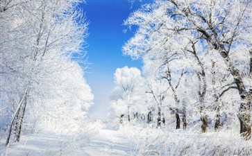 吉林雾凇_冬季东北冰雪旅游