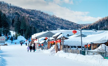 雪乡旅游-东北长白山哈尔滨旅游