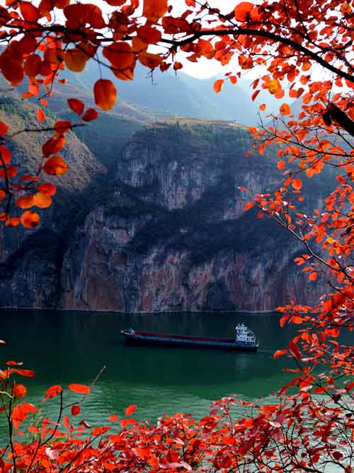 重庆三峡旅游-巫山巫峡红叶与挖沙平底船