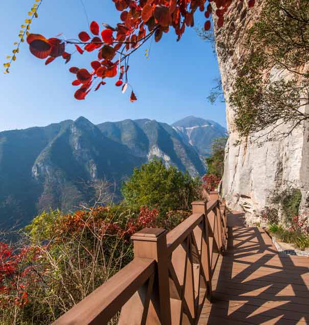 重庆三峡旅游-巫山神女景区红叶