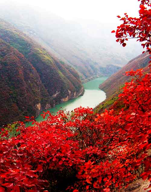 重庆三峡旅游-神女溪红叶景色