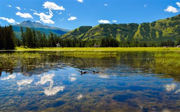 喀纳斯湖景区