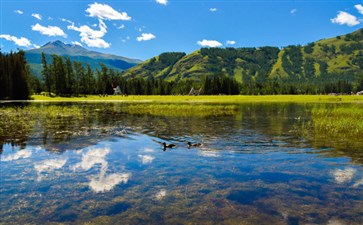 喀纳斯湖景区