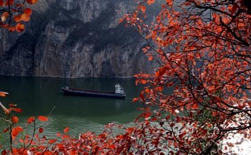 瞿塘峡红叶游_重庆红叶旅游线路