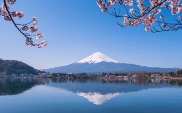 富士山春季-重庆中国青年旅行社