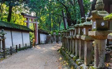 春日大社-重庆到日本赏樱旅游