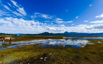 丽江拉市海-丽江大理旅游