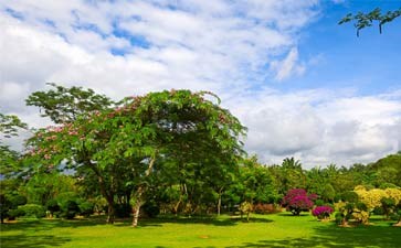 版纳热带花卉园-西双版纳自由行旅游