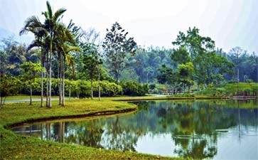 版纳勐仑热带植物园-西双版纳自由行旅游