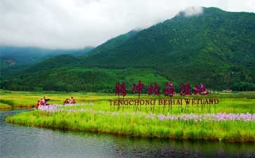 腾冲北海湿地旅游-腾冲自由行旅游景点推荐