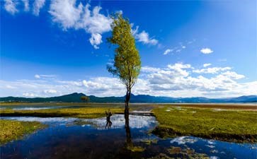 拉什海湿地公园-重庆中国青年旅行社