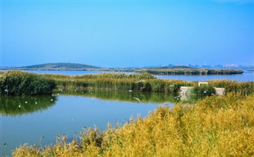 沙湖风景区