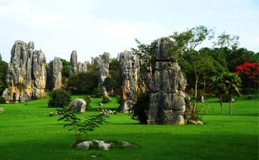 重庆旅行社-云南旅游-昆明-石林风景