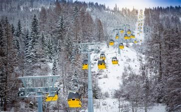 丽江玉龙雪山旅游-重庆旅行社