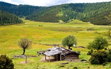 普达措国家森林公园,重庆到香格里拉旅游,重庆旅行社