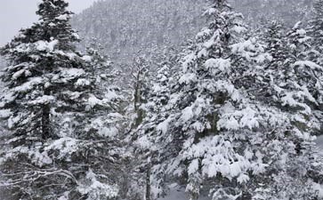 石卡雪山_重庆青年旅行社