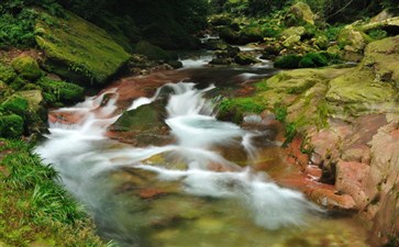 金鞭溪风景区