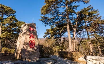 北京香山公园知松园-重庆中国青年旅行社