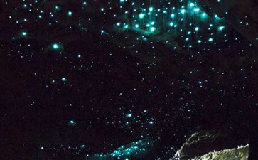 新西兰·维多摩萤火虫洞-重庆中国青年旅行社