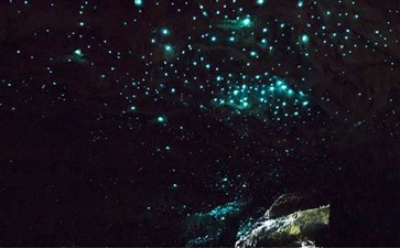 新西兰·维多摩萤火虫洞-重庆中国青年旅行社
