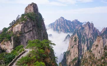 黄山风景区美景-重庆到黄山旅游第三天