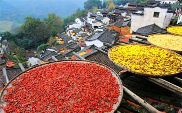 婺源篁岭旅游-重庆青年旅行社