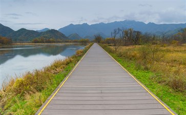 大九湖景区