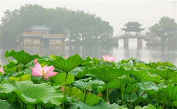 华东六市旅游线路游览景点-西湖胜景