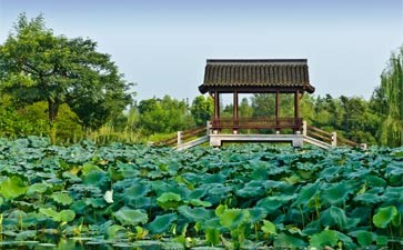 西溪湿地_重庆中国青年旅行社