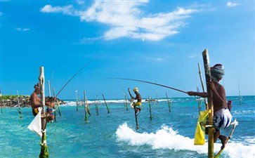 斯里兰卡·高跷钓鱼-斯里兰卡旅游报价