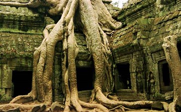 吴哥窟·大吴哥·塔普伦寺-柬埔寨旅游报价