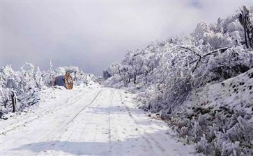 武隆赵云山雪景-重庆周边旅游