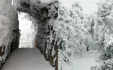 武隆赵云山雪景-重庆周边旅游