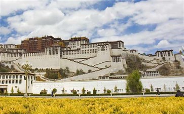 西藏布达拉宫旅游-2019林芝桃花节旅游线路