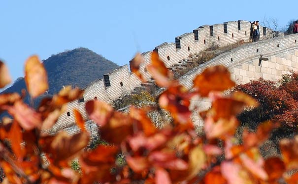 北京八达岭长城枫叶-重庆中国青年旅行社