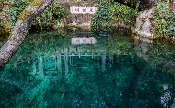 蝴蝶泉-重庆旅行社