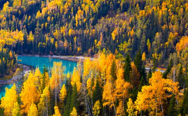 秋季旅游好去处之大美新疆