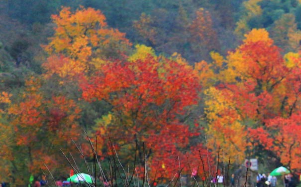 塔川秋季美景