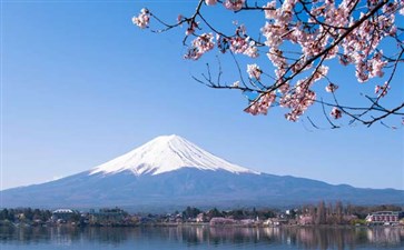 春节河口湖樱花胜景-重庆到日本樱花旅游线路