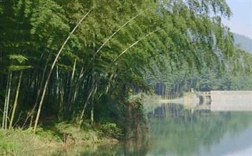 春节重庆到蜀南竹海旅游-重庆旅行社