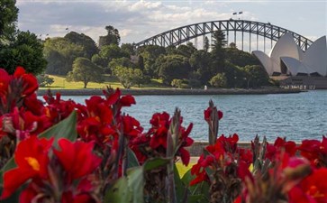 悉尼歌剧院旁皇家植物园-重庆到澳大利亚旅游线路