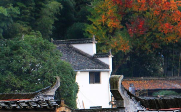 塔川-重庆中国青年旅行社