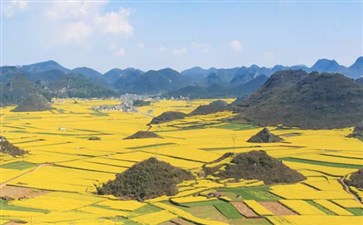 罗平油菜花赏花旅游-重庆到罗平油菜花旅游线路