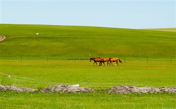 重庆出发到西北旅游-内蒙古草原风光