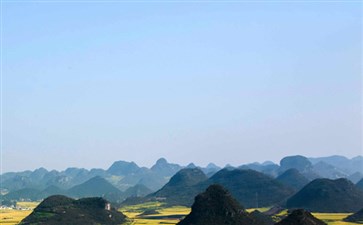 云南罗平油菜花-重庆青旅