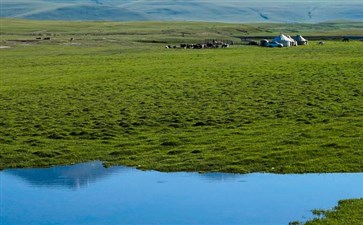 巴音布鲁克-重庆到新疆夕阳红旅游景点