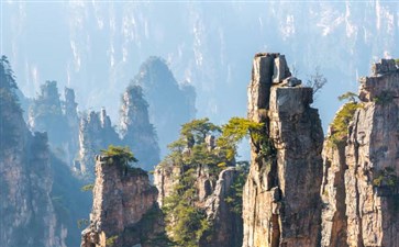 张家界-重庆旅行社