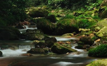 张家界国家森林公园金鞭溪-重庆三峡旅游